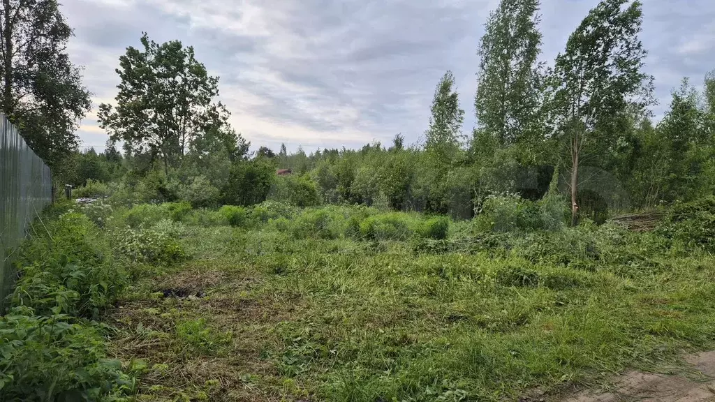 Участок 4,8 сот. (СНТ, ДНП) - Фото 0
