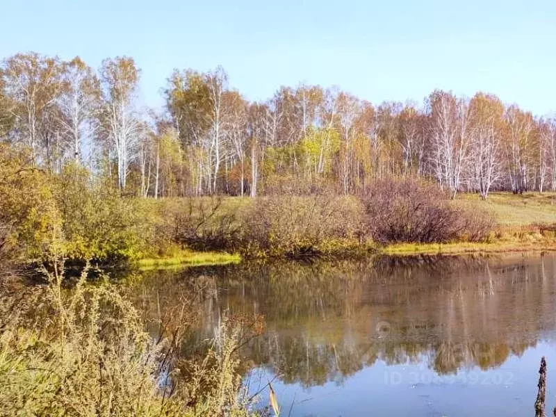 Участок в Новосибирская область, Новосибирский район, Станционный ... - Фото 1