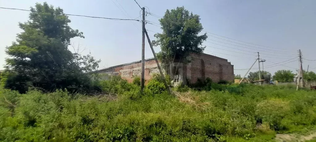 Склад в Алтайский край, Первомайский район, с. Березовка ул. 40 лет ... - Фото 1