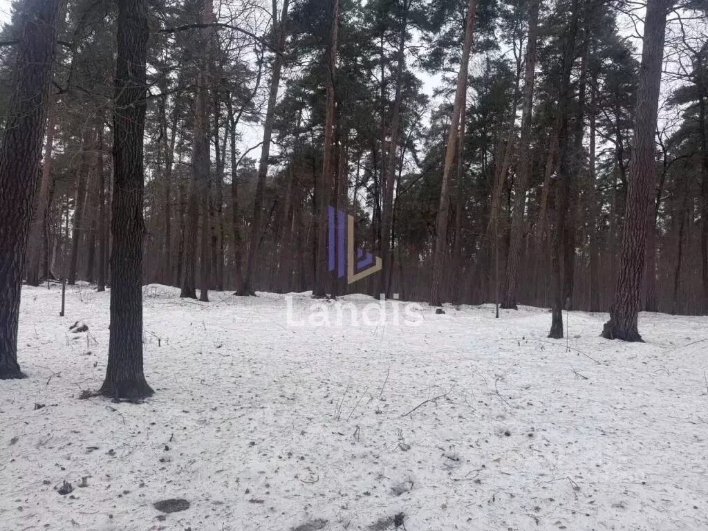 Участок в Москва № 122 кв-л,  (23.0 сот.) - Фото 2