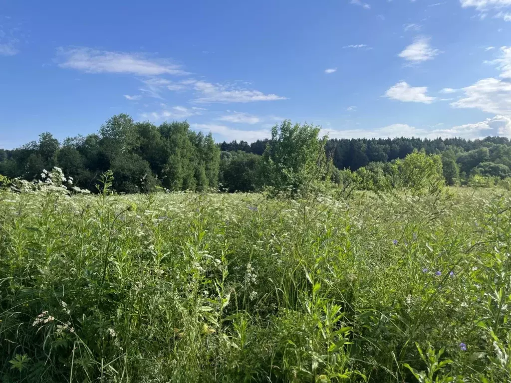 Участок в Московская область, Ступино городской округ, д. Шелково ул. ... - Фото 1