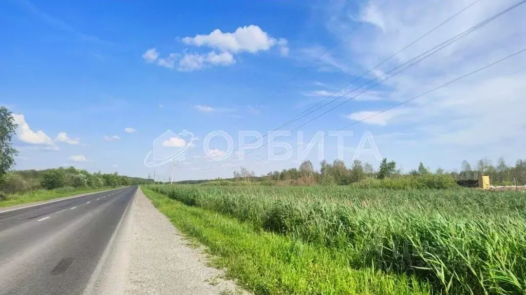 Участок в Тюменская область, Тюмень Велижанский тракт, 9-й км (290.0 ... - Фото 1