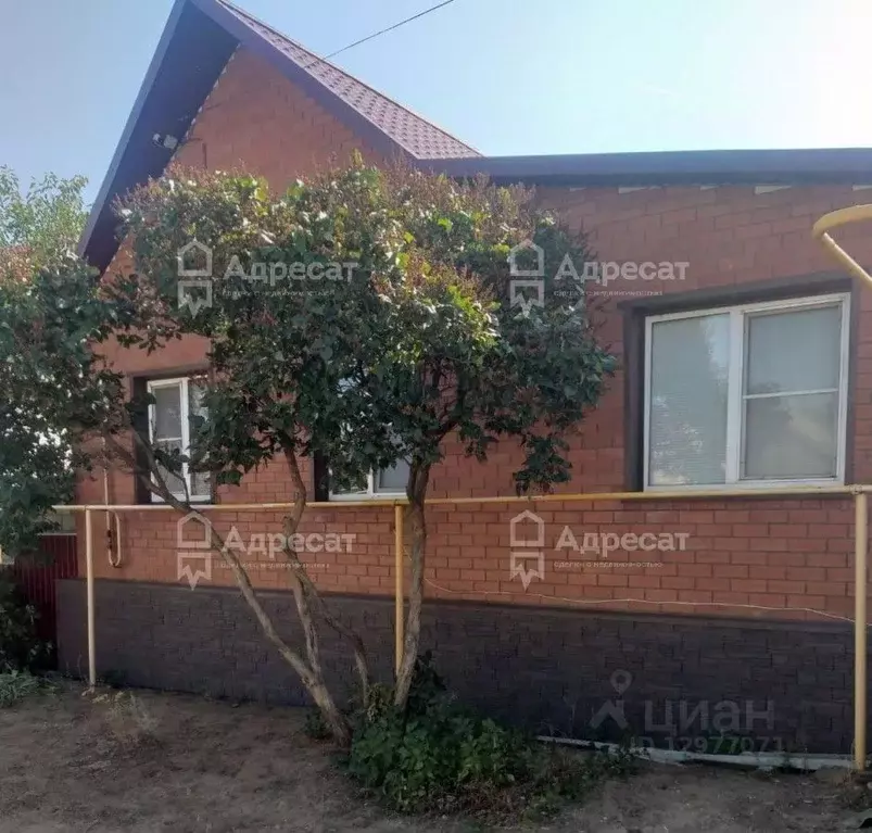 Авито Купить Дом В Дубовке Волгоградской Области