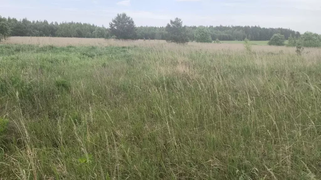Участок в Московская область, Орехово-Зуевский городской округ, д. ... - Фото 0