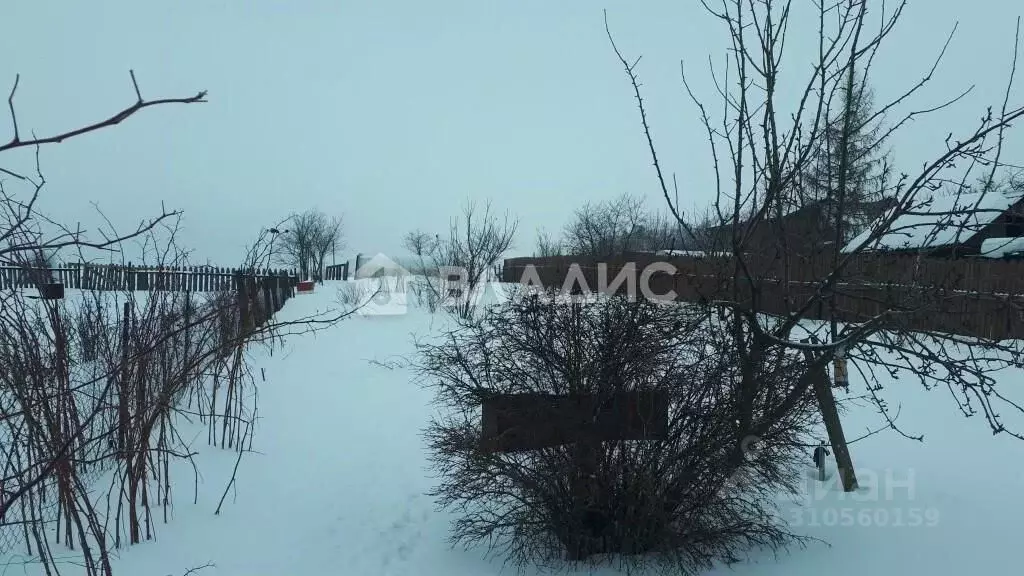 Участок в Владимирская область, Суздальский район, Новоалександровское ... - Фото 1