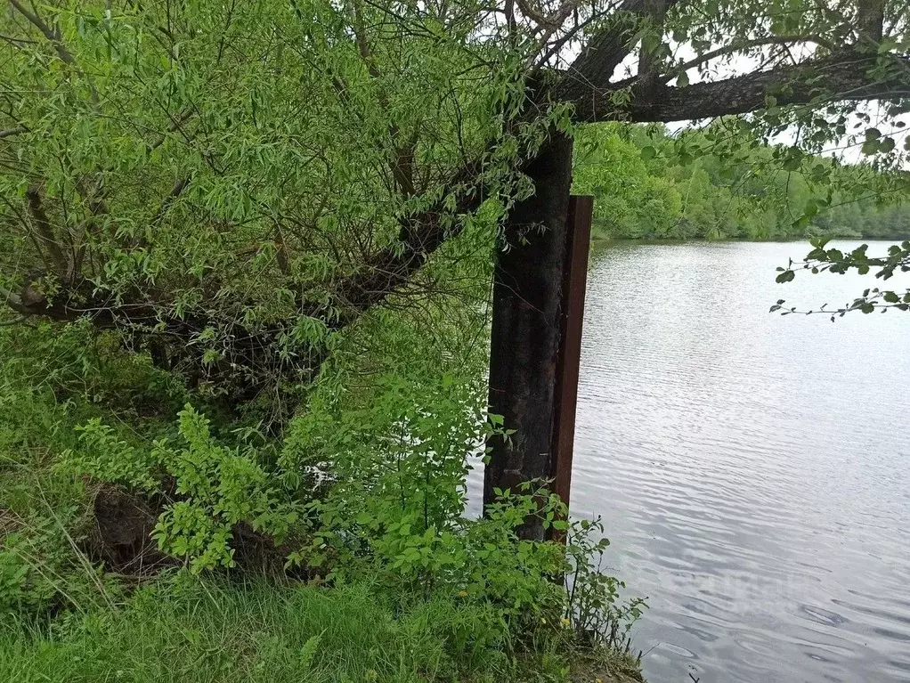 Участок в Белгородская область, Ивнянский район, Верхопенское с/пос, ... - Фото 1