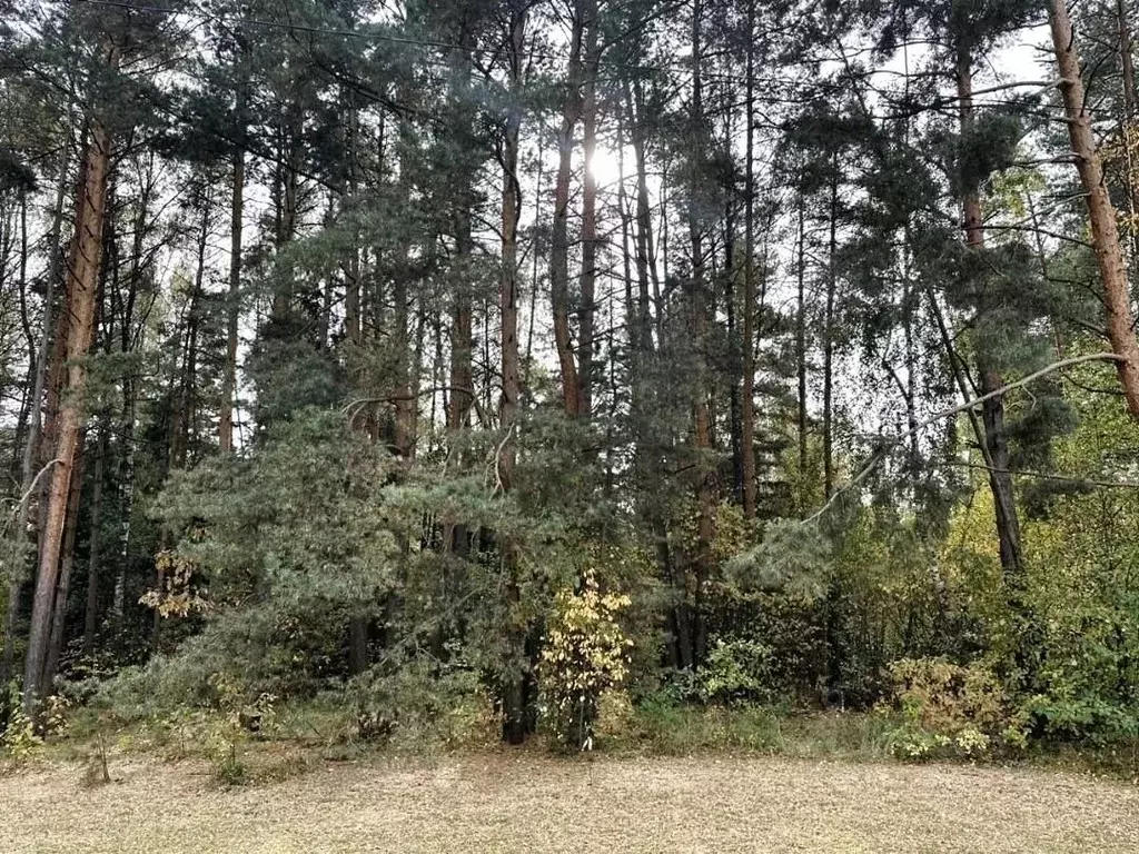 Участок в Московская область, Одинцовский городской округ А-106, 27-й ... - Фото 1