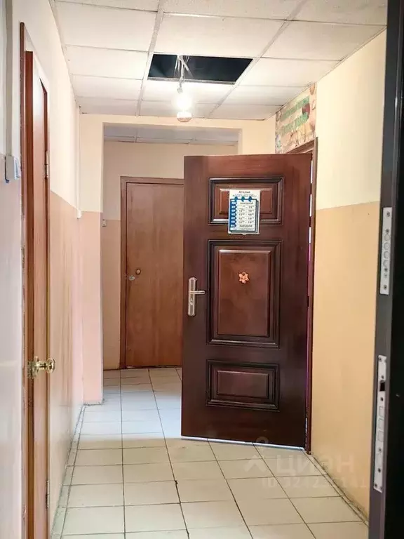 Офис в Иркутская область, Иркутск Байкальская ул., 216А/5 (15 м) - Фото 2