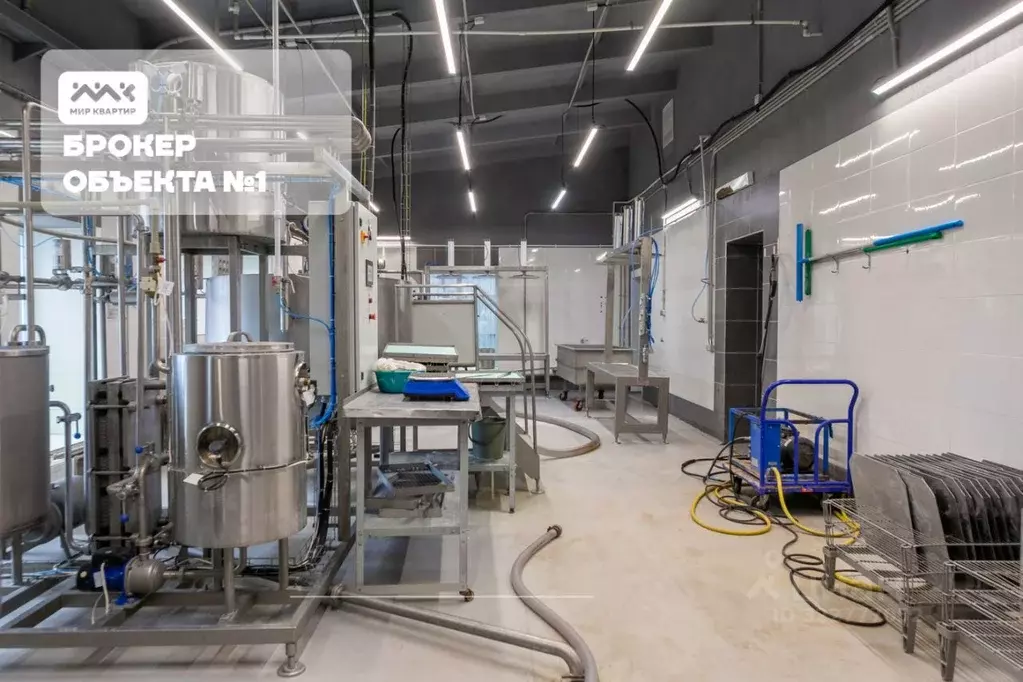 Производственное помещение в Ленинградская область, Гатчинский ... - Фото 1