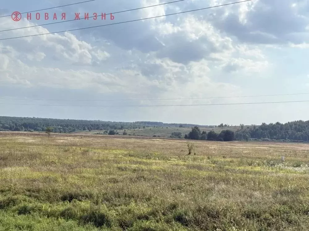 Участок в Самарская область, Красноярский район, Светлое Поле с/пос, ... - Фото 2