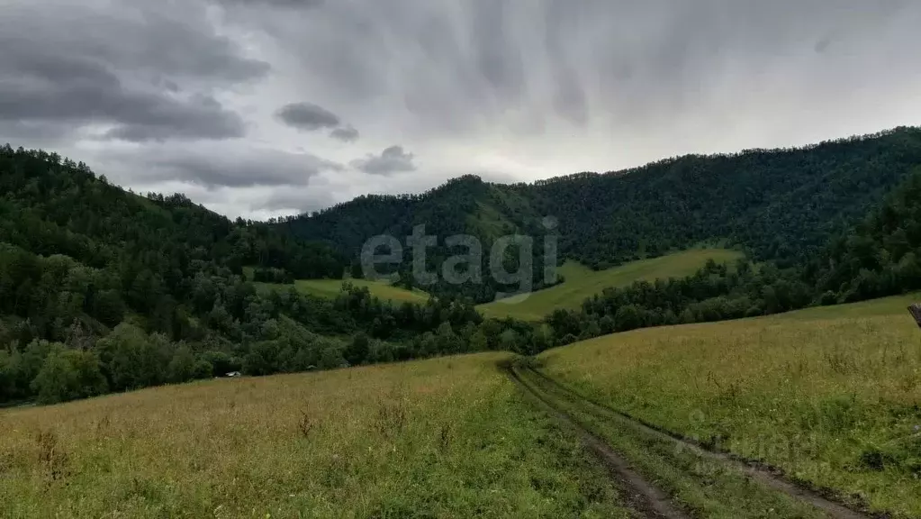 Участок в Алтай, Чемальский район, с. Чемал  (139.99 сот.) - Фото 0