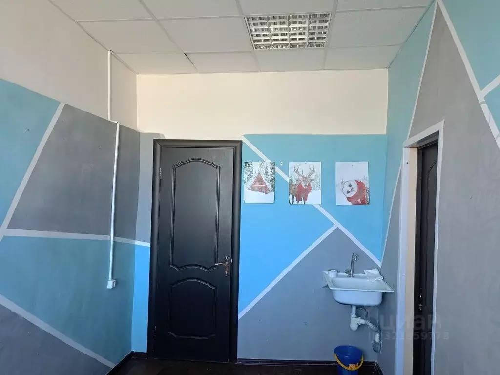Помещение свободного назначения в Новосибирская область, с. Убинское ... - Фото 0