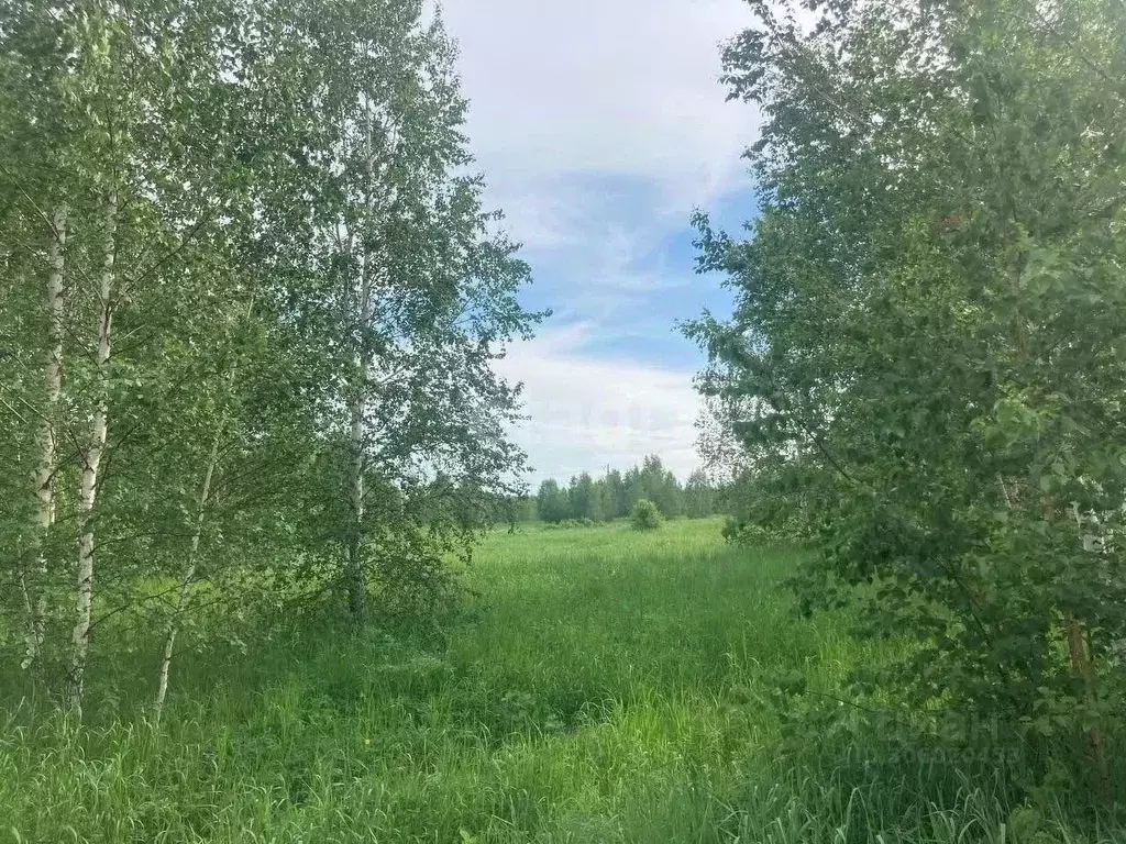 участок в свердловская область, ревда городской округ, с. кунгурка ул. . - Фото 1