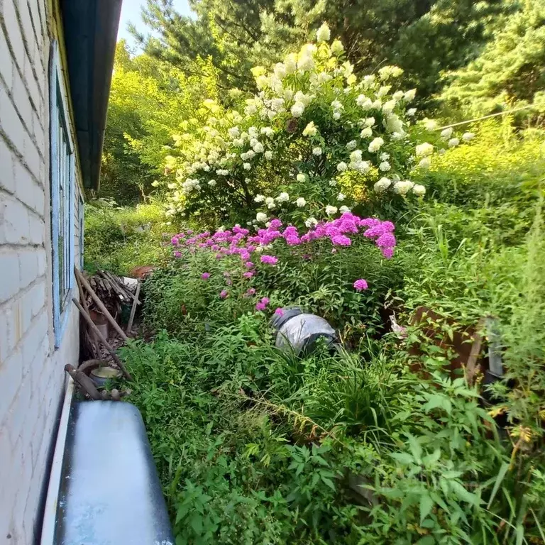 Участок в Приморский край, Находка Строитель СНТ, ул. Кольцевая, 41 ... - Фото 2