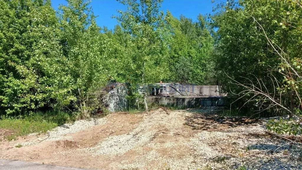 Участок в Нижегородская область, Нижний Новгород городской округ, с. ... - Фото 2