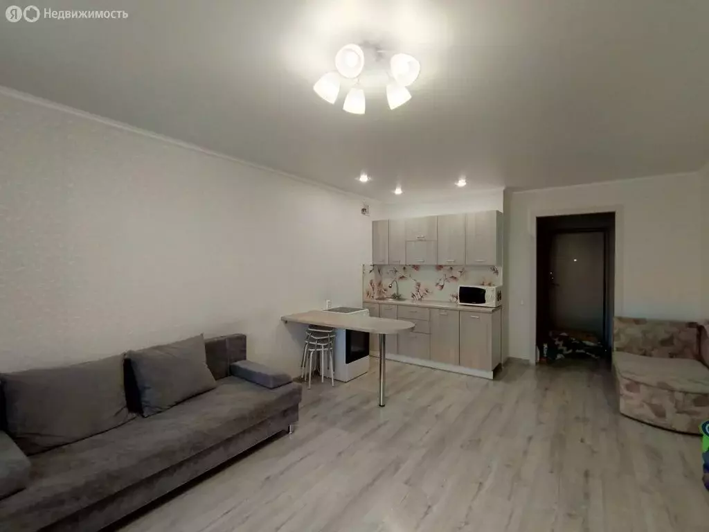 Квартира-студия: Зубово, Весенняя улица, 3 (33 м) - Фото 2