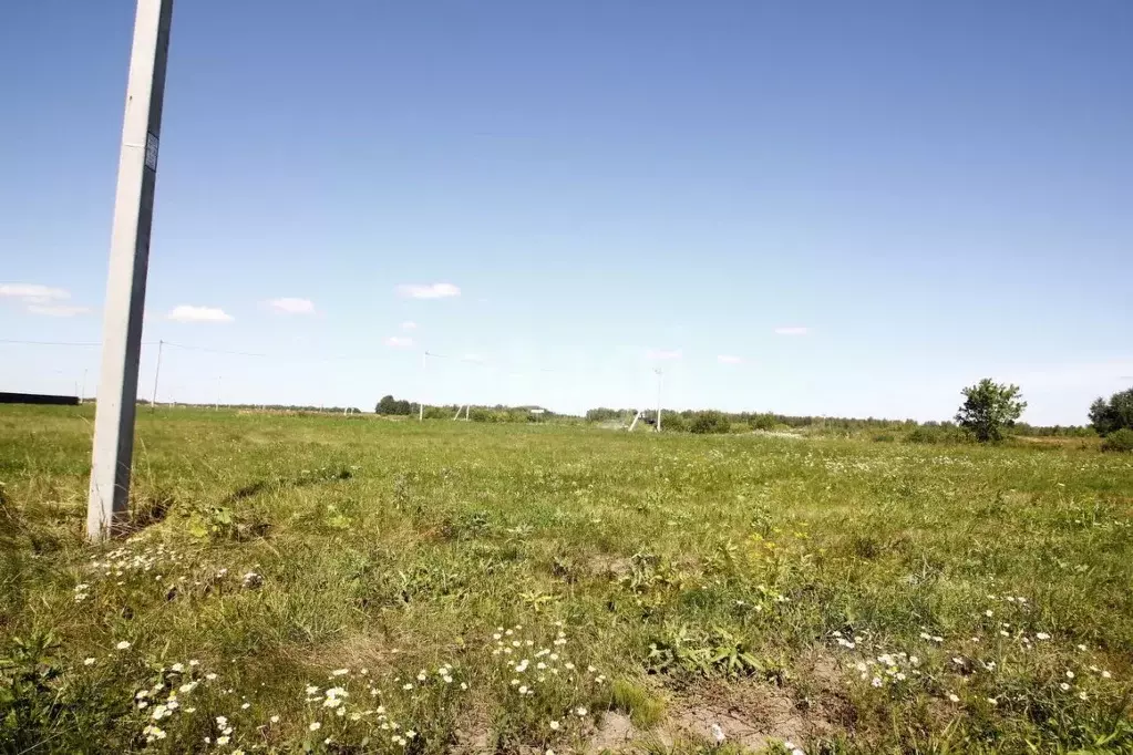 Участок в Тюменская область, Ялуторовский муниципальный округ, ... - Фото 1