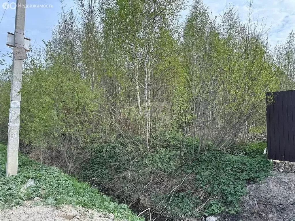 Участок в Кировский район, Синявинское городское поселение, ... - Фото 2