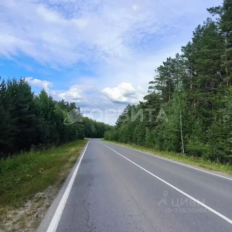 Участок в Тюменская область, Тюменский муниципальный округ, Каменское ... - Фото 1
