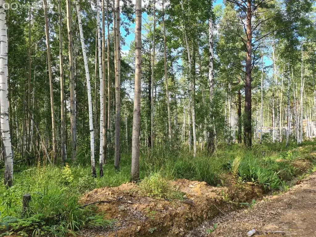 Участок в Иркутский муниципальный округ, ДПК Садко, Дачный проезд (20 ... - Фото 2