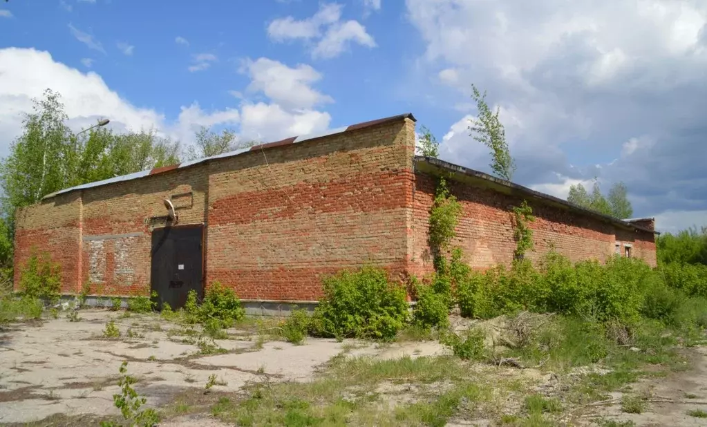 Помещение свободного назначения в Самарская область, Сызрань ул. ... - Фото 1