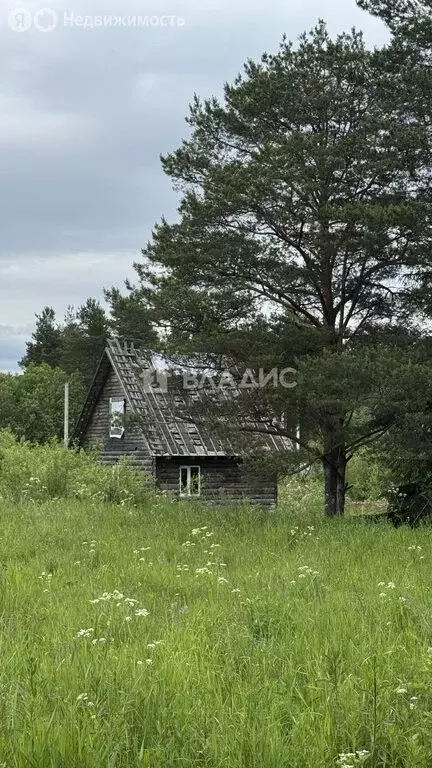 Дом в Вологодский муниципальный округ, посёлок Сосновка (36 м) - Фото 0