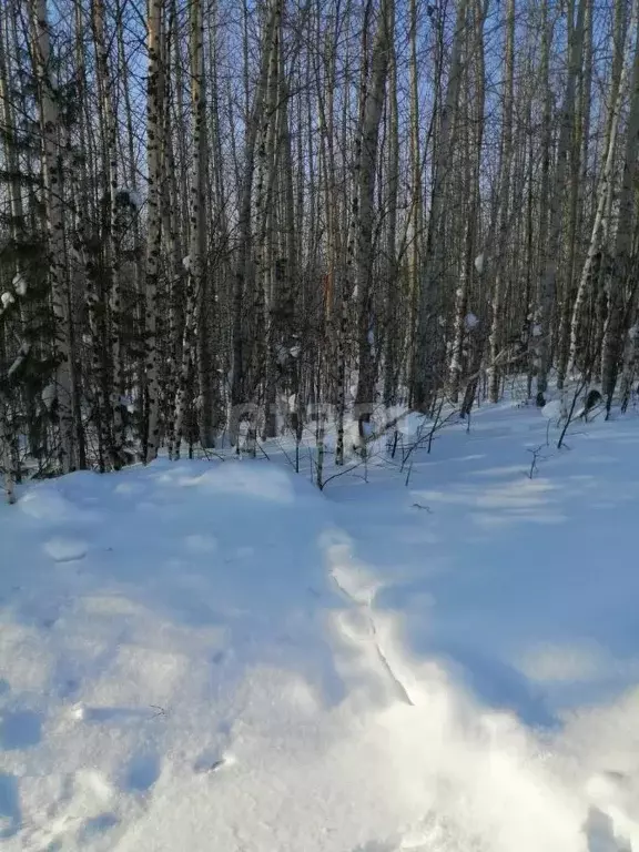 Участок в Ханты-Мансийский АО, Ханты-Мансийск Мир СОНТ,  (8.5 сот.) - Фото 0