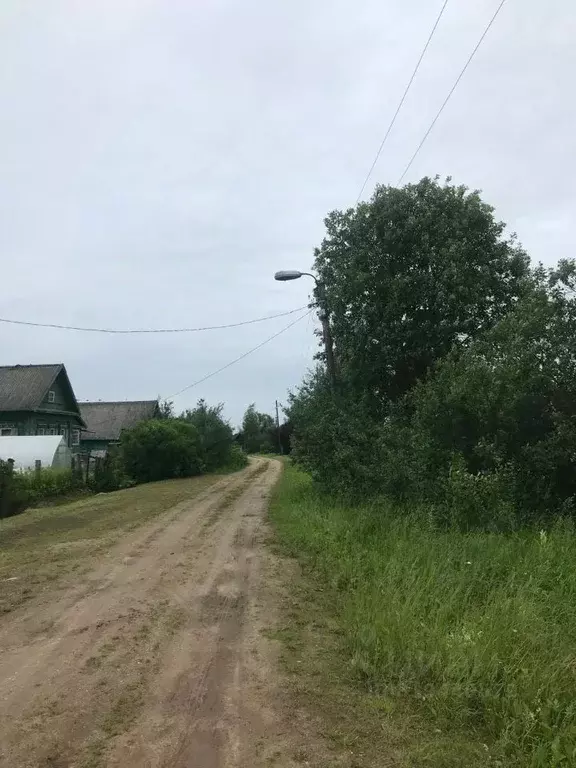 Участок в Тверская область, Рамешковский муниципальный округ, д. ... - Фото 0