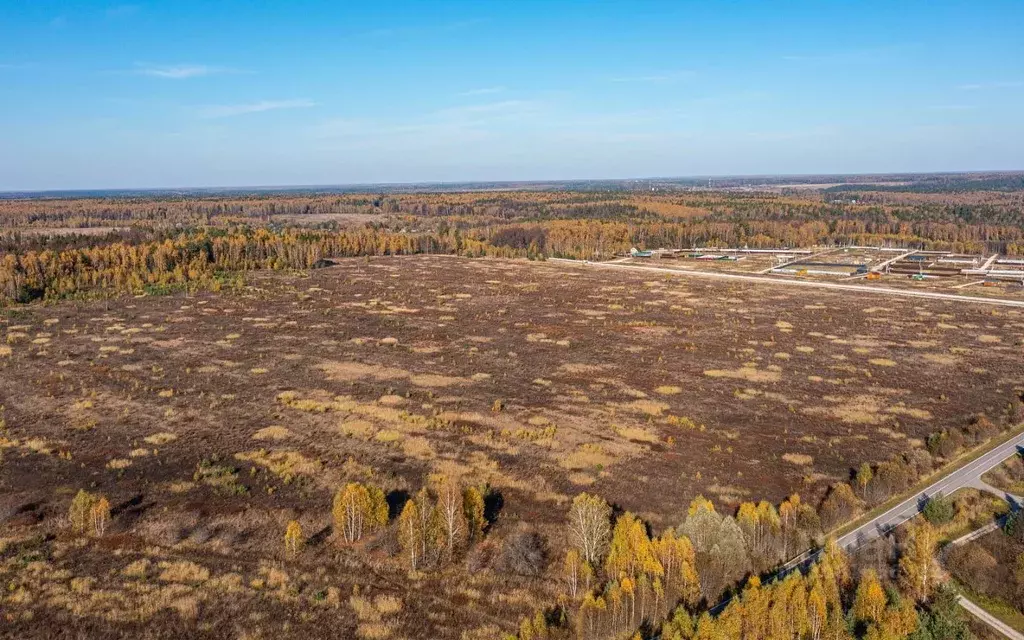 Участок в Московская область, Ступино городской округ, с. Починки  ... - Фото 1