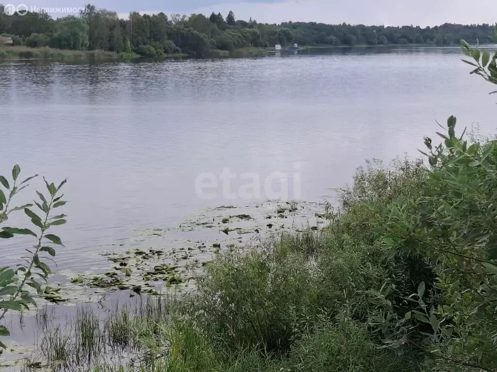 Участок в Староладожское сельское поселение, деревня Подол, коттеджный ... - Фото 1