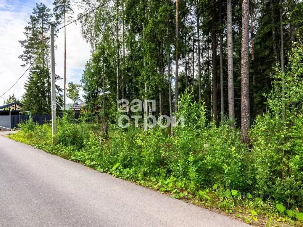 Участок в Ленинградская область, Сертолово Всеволожский район, Медное ... - Фото 2