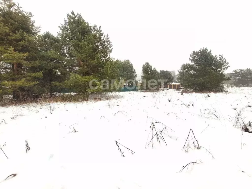 Участок в Калужская область, Дзержинский муниципальный округ, Дворцы ... - Фото 2