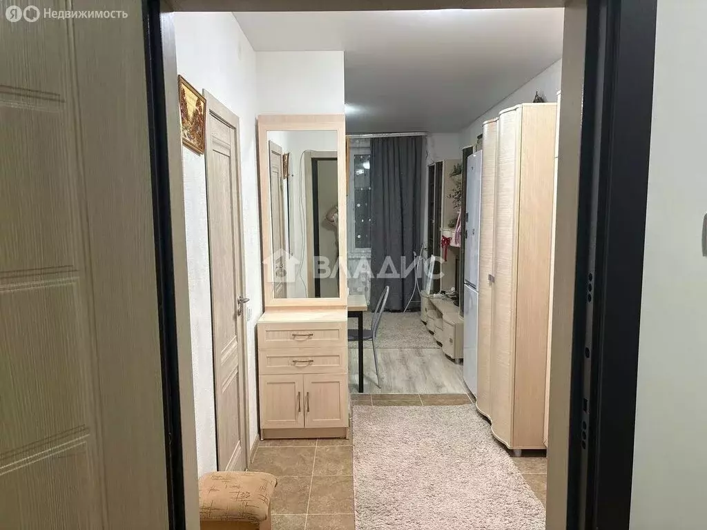 Квартира-студия: деревня Анкудиновка, Русская улица, 19 (30.2 м) - Фото 2