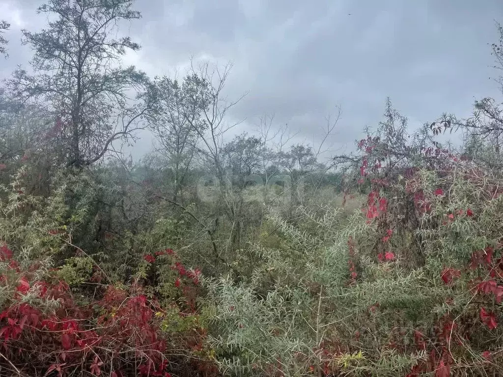 Участок в Северная Осетия, Алагир ул. Караева (5.0 сот.) - Фото 2