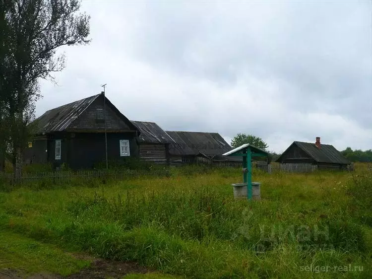 Дом в Тверская область, Осташковский городской округ, д. Пихтень  (30 ... - Фото 0