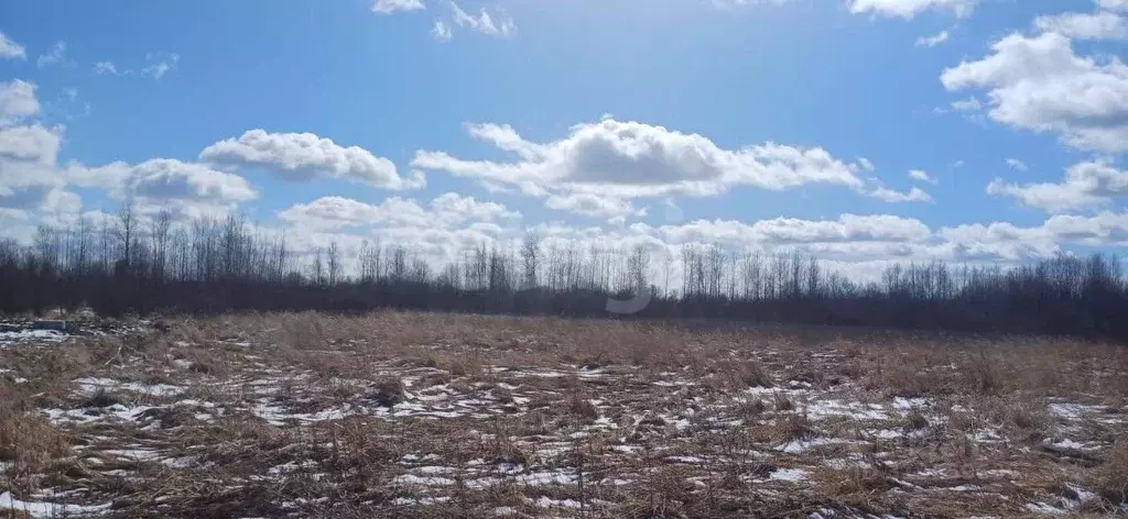 Участок в Вологодская область, Шекснинский муниципальный округ, д. ... - Фото 1