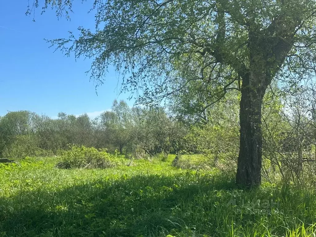 Участок в Новгородская область, Новгородский район, Ермолинское с/пос, ... - Фото 1