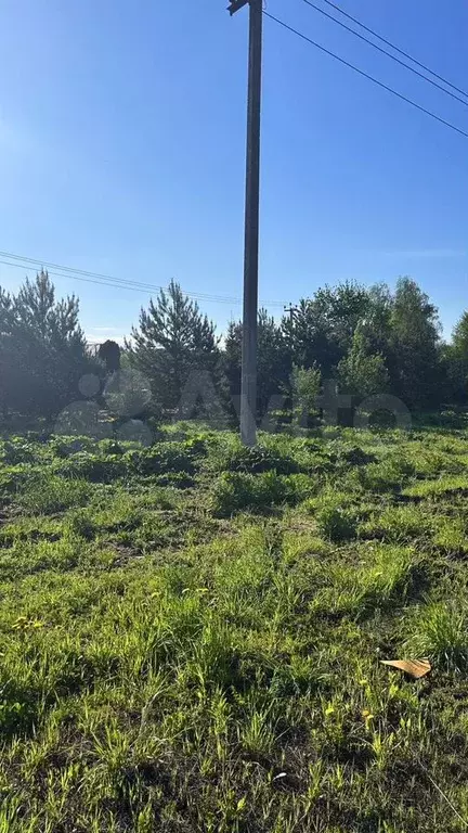 Участок 6 сот. (ИЖС) - Фото 1