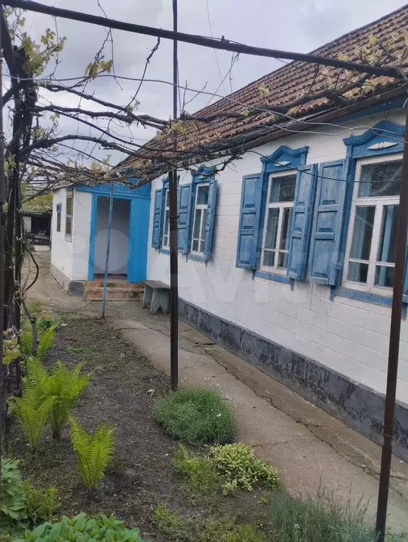 Дом 47 м на участке 7 сот. - Фото 1