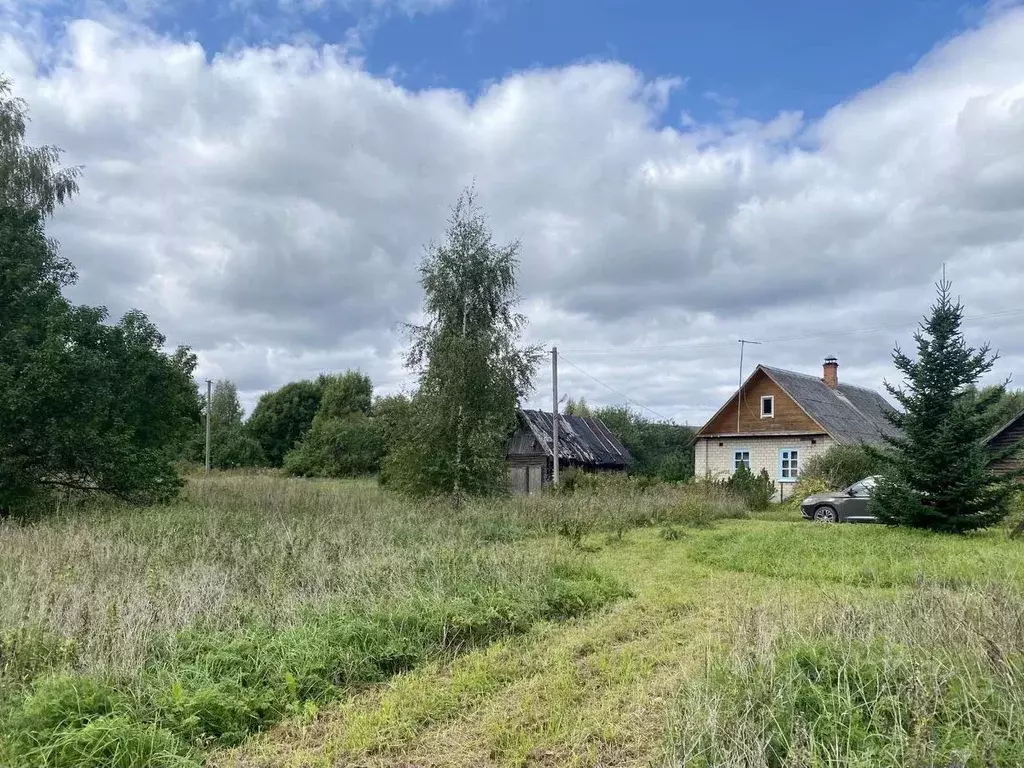 Участок в Псковская область, Печорский район, д. Трынтово  (14.43 ... - Фото 1