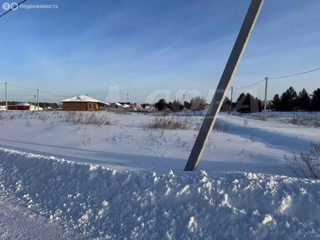 Участок в Тюменский муниципальный округ, деревня Криводанова (5.7 м) - Фото 2