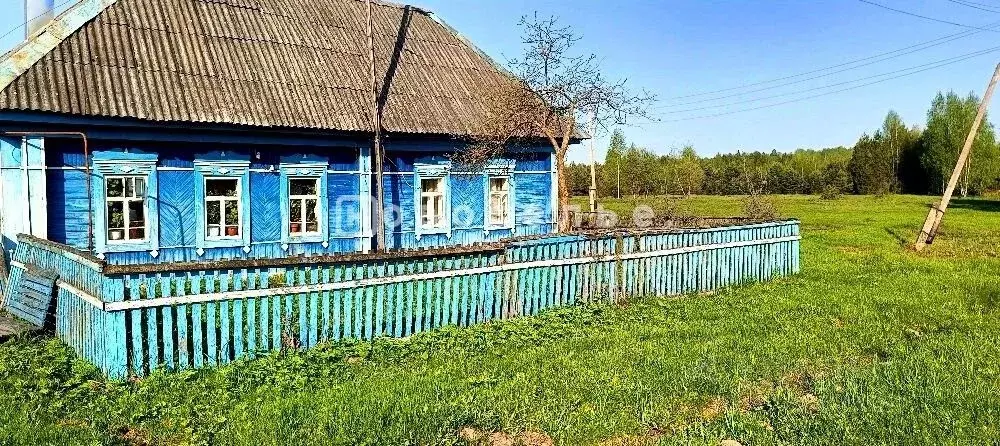 Дом в Рязанская область, Шацкий муниципальный округ, с. Завидное ул. ... - Фото 1