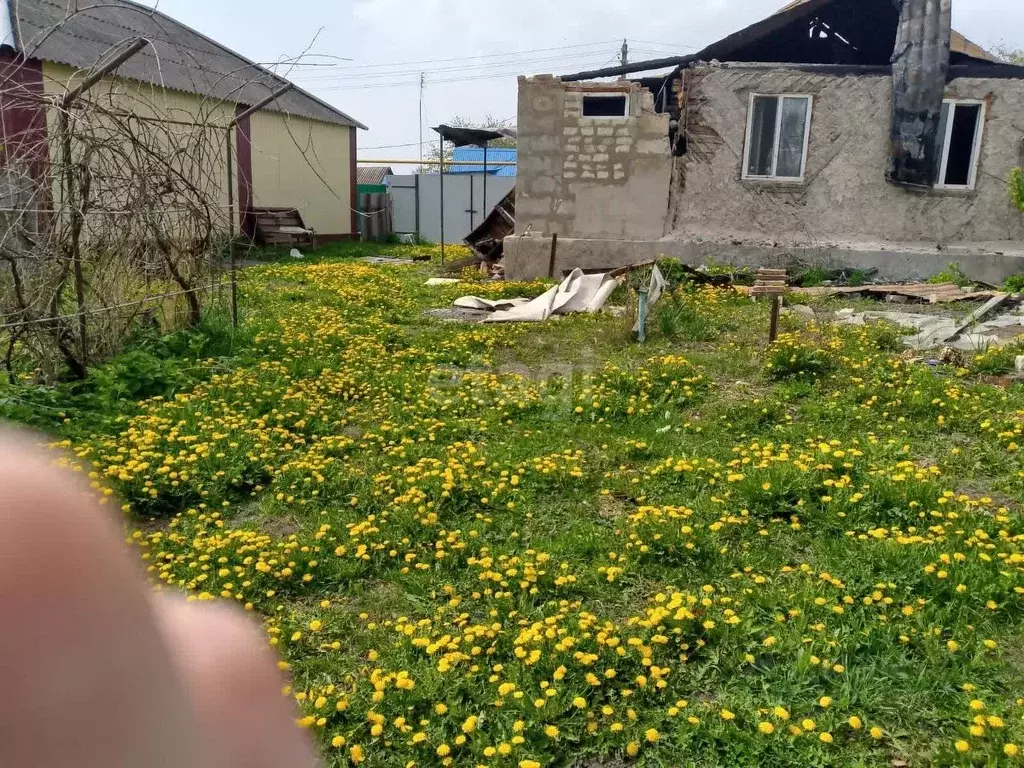 Дом в Белгородская область, Белгородский район, Беломестненское с/пос, ... - Фото 0