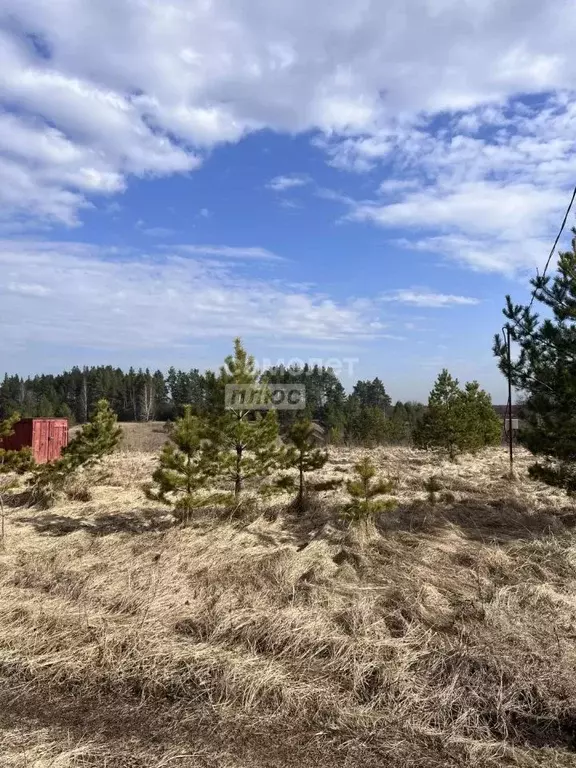 Участок в Липецкая область, Задонский муниципальный округ, с. Казино  ... - Фото 1