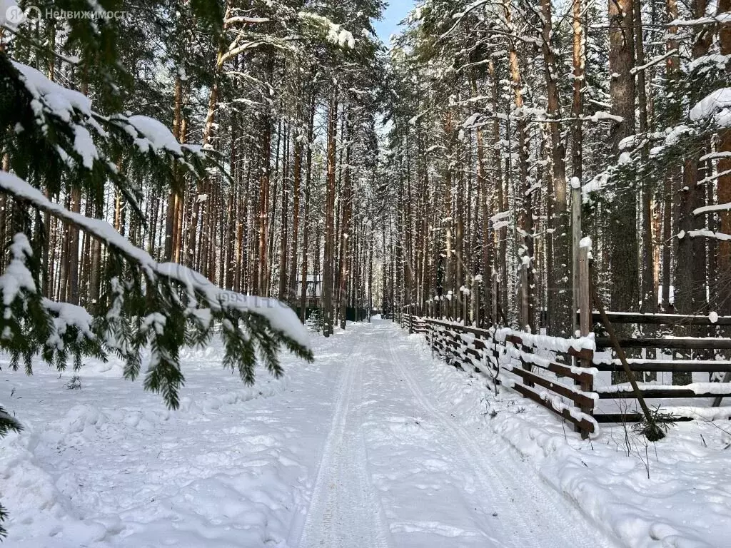 Участок в Доможировское сельское поселение, деревня Оятский Участок, ... - Фото 1
