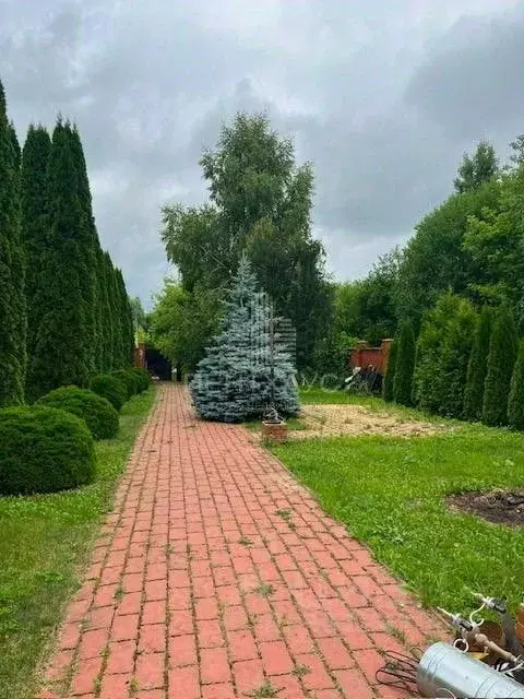 Участок в Владимирская область, Владимир Пиганово мкр, Центральная ... - Фото 2
