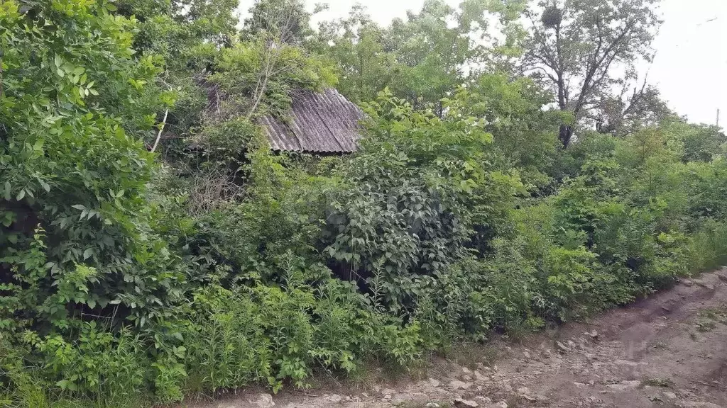 Участок в Ставропольский край, Ставрополь Железнодорожник СТ,  (4.0 ... - Фото 2