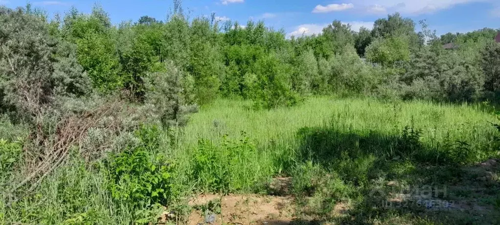 Участок в Московская область, Красногорск городской округ, Нахабино ... - Фото 2