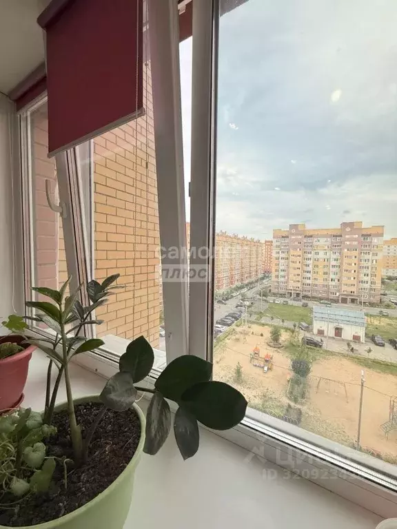 1-к кв. Марий Эл, Йошкар-Ола ул. Петрова, 28 (40.0 м) - Фото 0