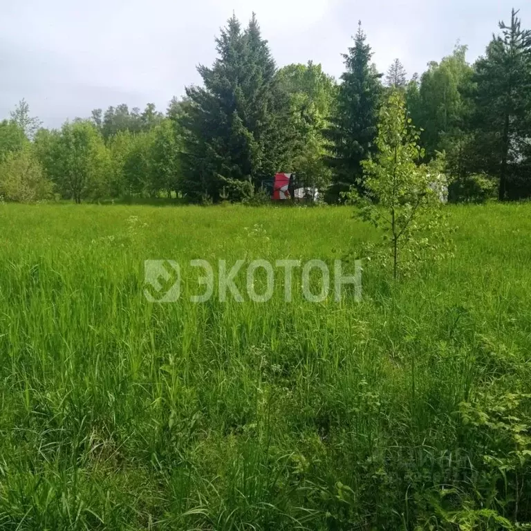 Участок в Ленинградская область, Выборгский район, Полянское с/пос, ... - Фото 1